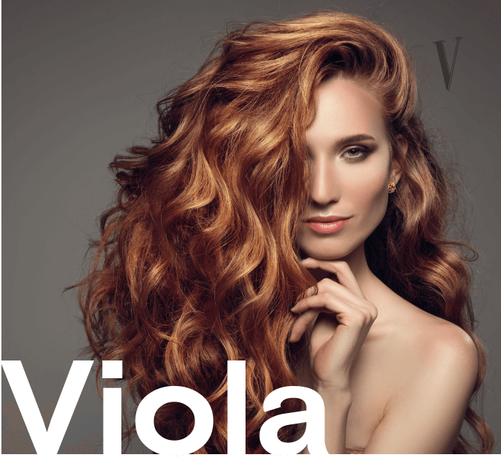 Implementierung von E-Commerce - Viola Hair Extensions